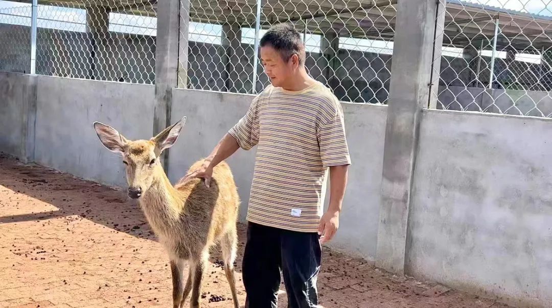 绑定送20万捕鱼金币